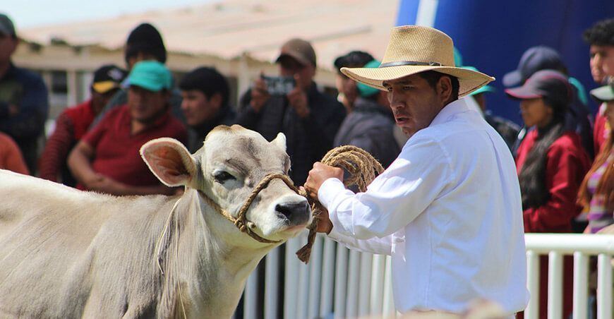 Feria Ganadera San Lorenzo Junín Perú