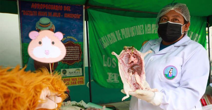 comercialización carne cuy