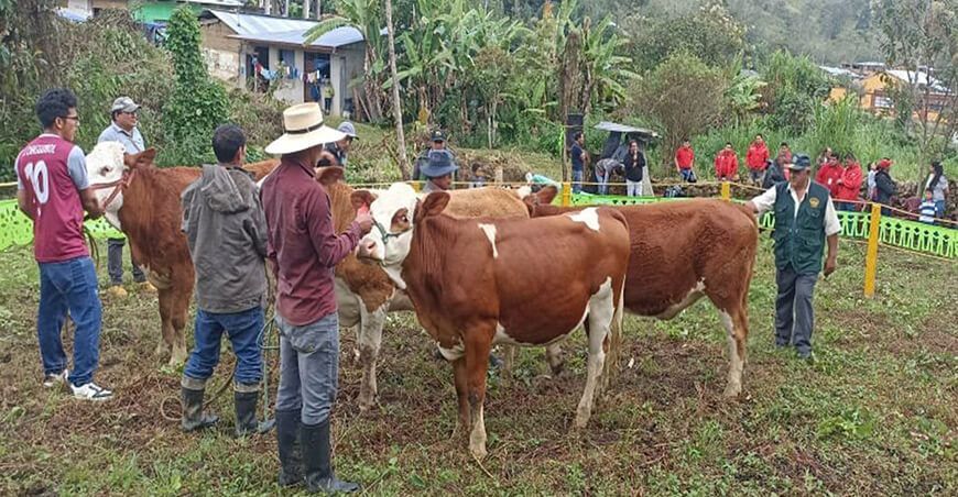 Amazonas te invita a la XXII Feragro en Ñunya Jalca