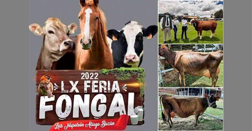 Feria de Fongal