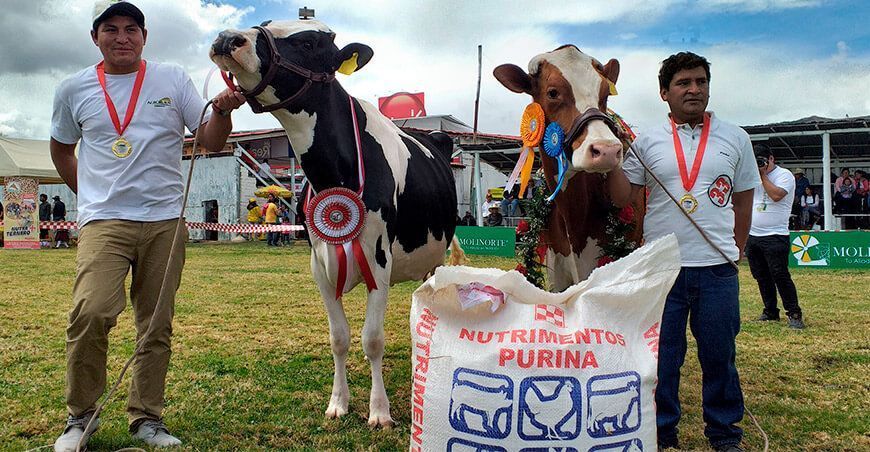 Cajamarca organiza tradicional feria Fongal con el 50 % de aforo