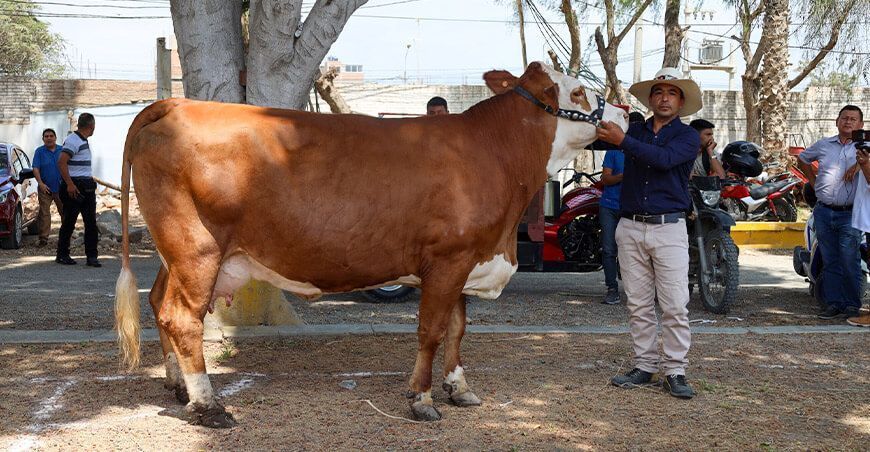 Feria Internacional Ganadera Lambayeque