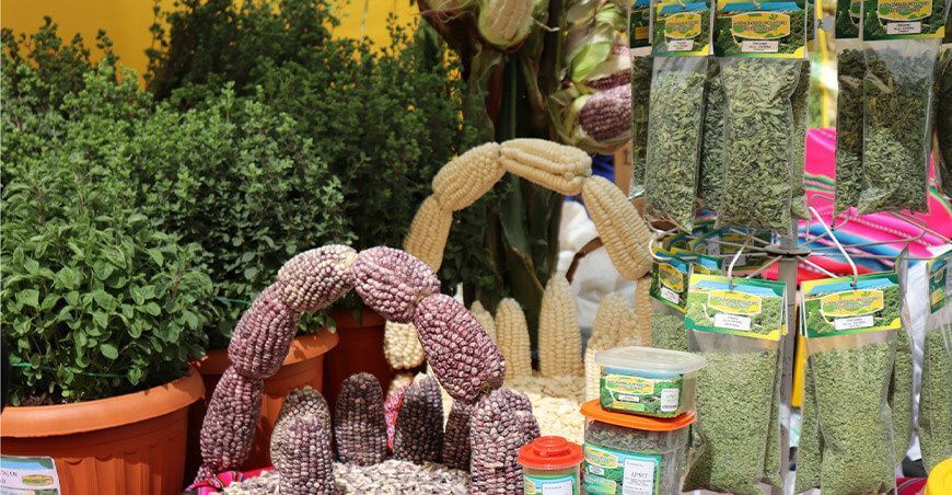 Feria del orégano y productos agropecuarios Tacna