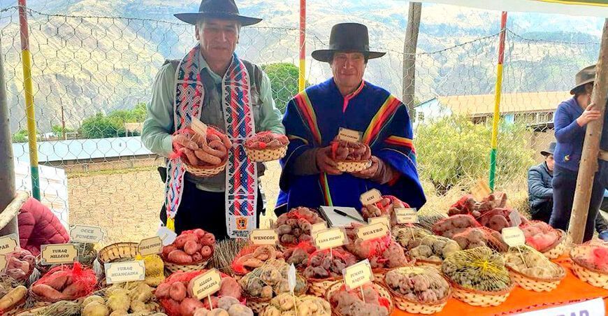 Ayacucho: organizan festival agroecológico y gastronómico