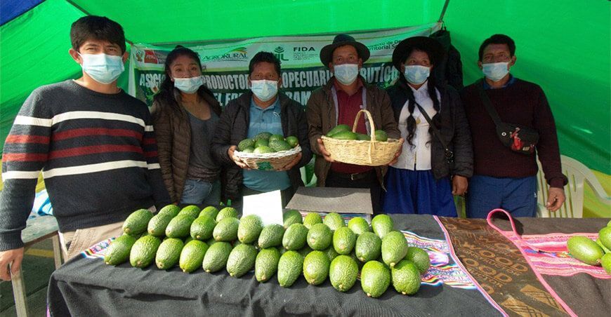 feria de productores de palta Perú