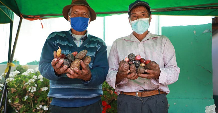 feria de productores de papa Junín Perú