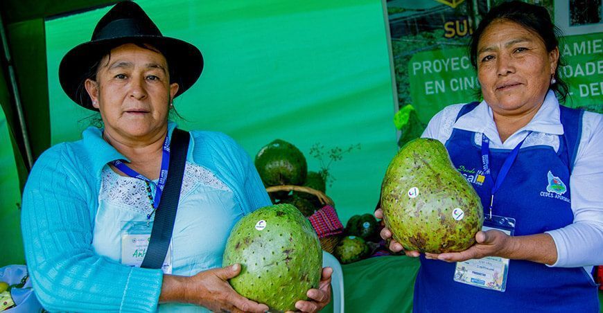 Feria San Antonio 2023 Apurímac Perú