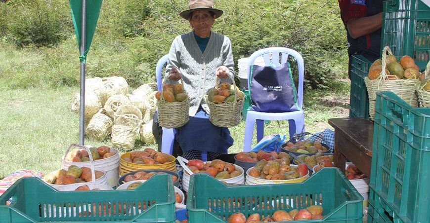 feria de tuna agraria Apurímac
