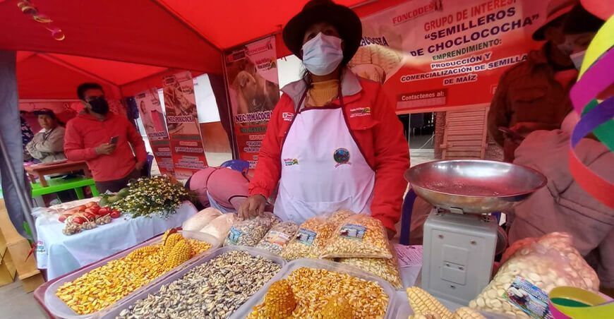 ferias agropecuarias de emprendimientos Huancavelica Perú