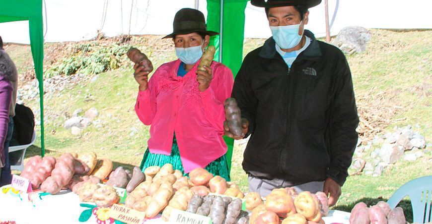 Agro Rural impulsará cadenas de valor agrícolas de 5000 productores