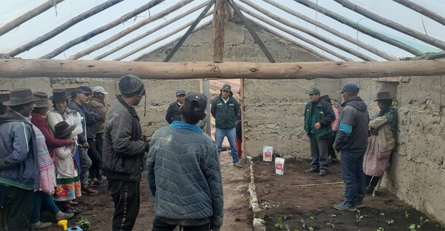 fitotoldos producción de hortalizas Ayacucho