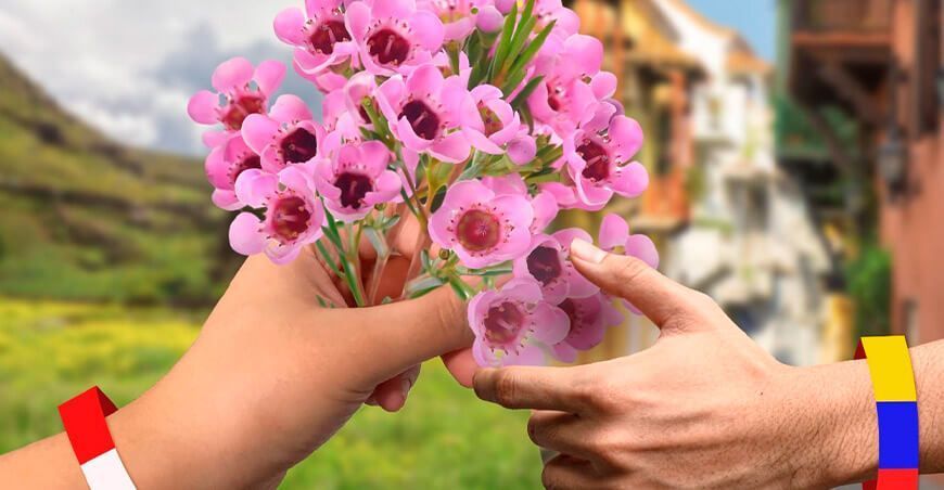 Exportación de flores Waxflower