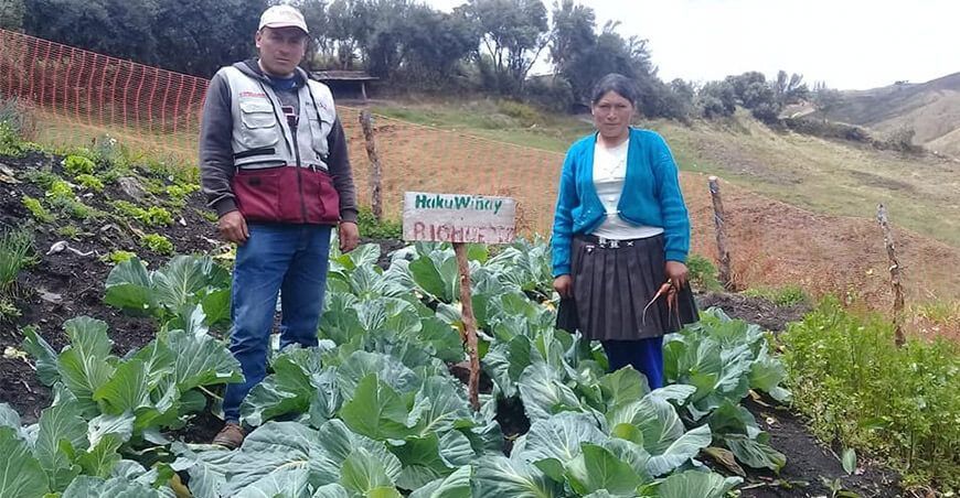 Familias productoras de hortalizas Haku Wiñay Foncodes Apurímac