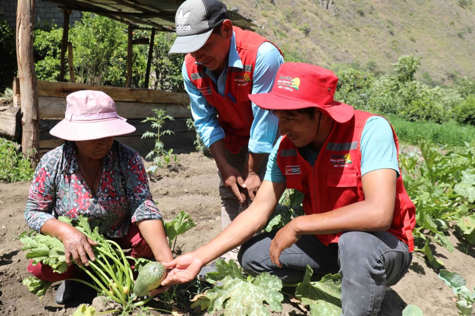 Empoderan a 10 000 familias con tecnologías productivas de Haku Wiñay