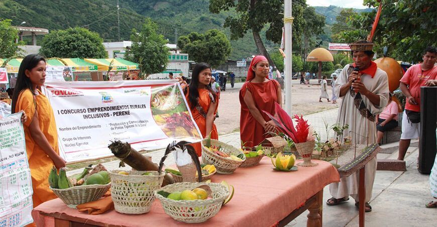 emprendimientos son impulsados por Haku Wiñay 
