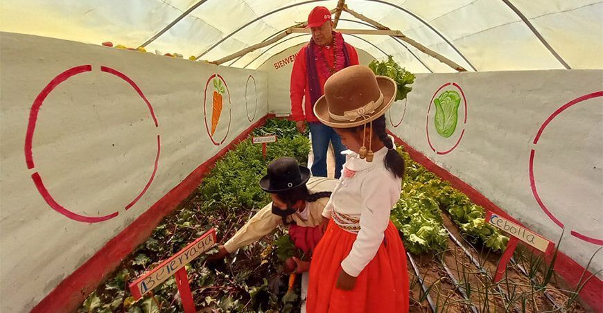 invernaderos producción de hortalizas productores de Puno Foncodes 