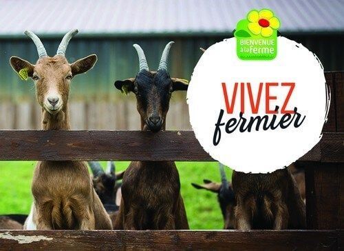 La valorización del turismo rural y agroturismo en Francia