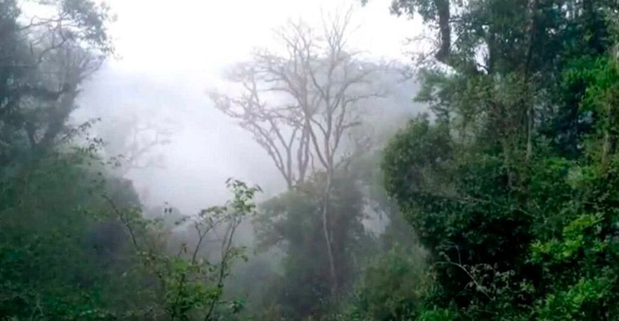 Decimoquinto friaje del año afectará a la selva centro y sur