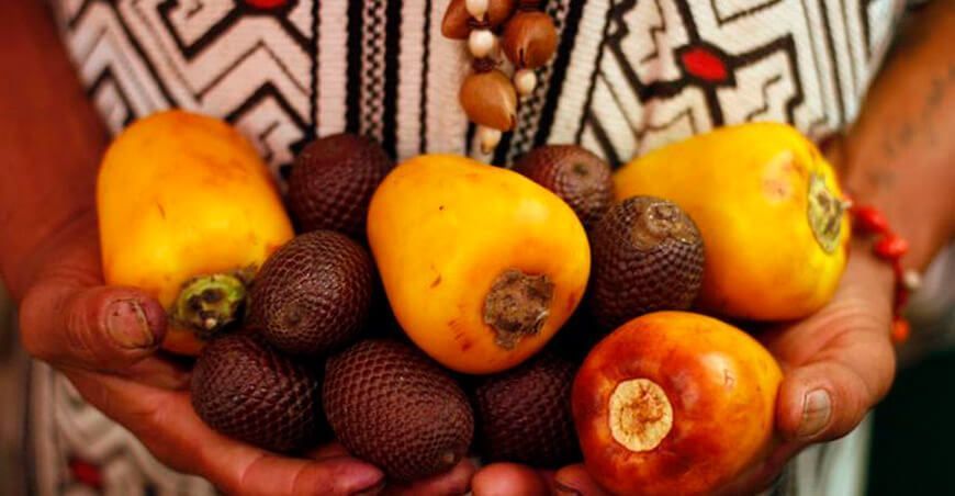 frutas andino-amazónicas del Perú