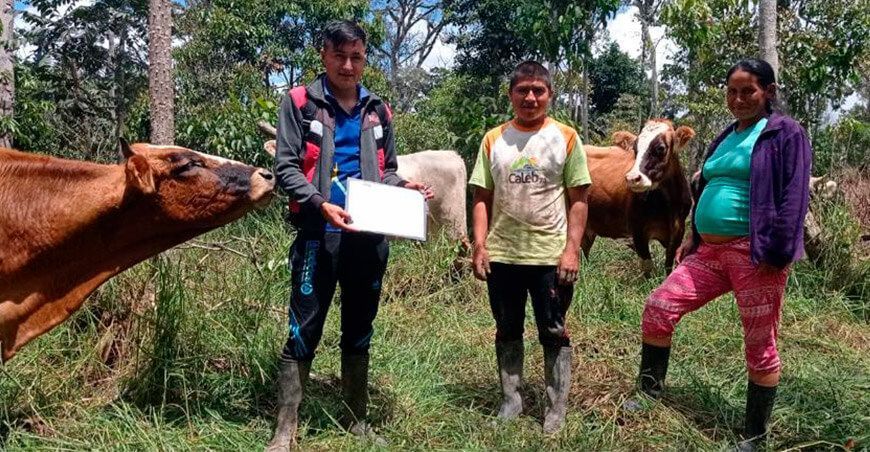 Amazonas: 21 familias ganaderas pueden convertirse en pequeños empresarios exitosos