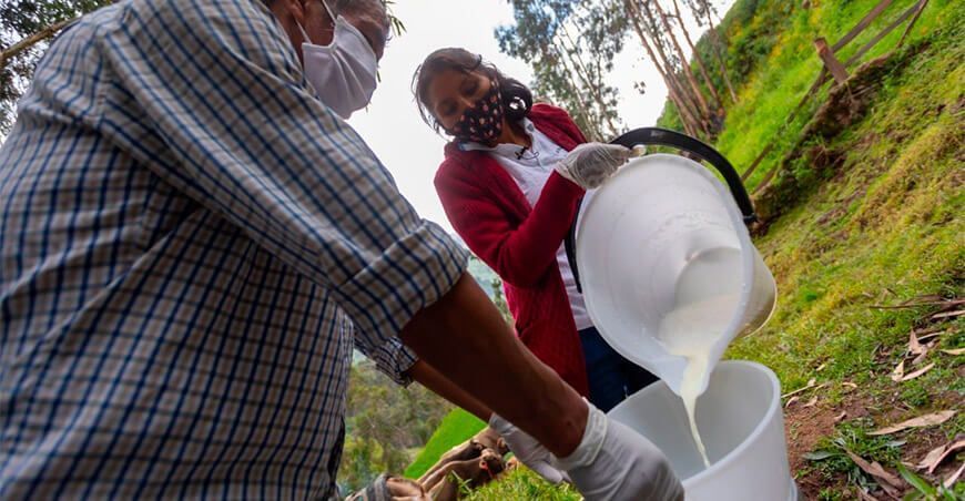 producción leche, pequeños ganaderos lecheros Perú
