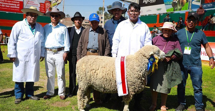 Expo Yauris Junín ganaderos ovinos Perú