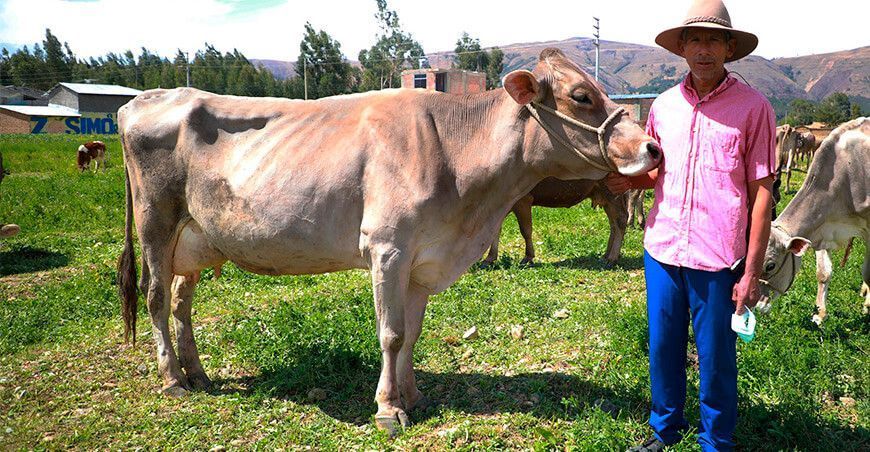 Junín: organizan la III Feria Agro Ganadera San Lorenzo 2021