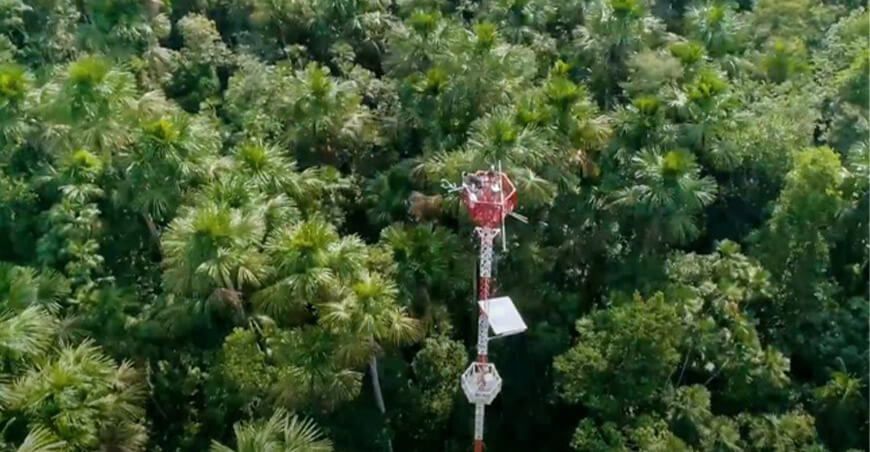 Loreto: científicos peruanos monitorean el flujo de gases de efecto invernadero