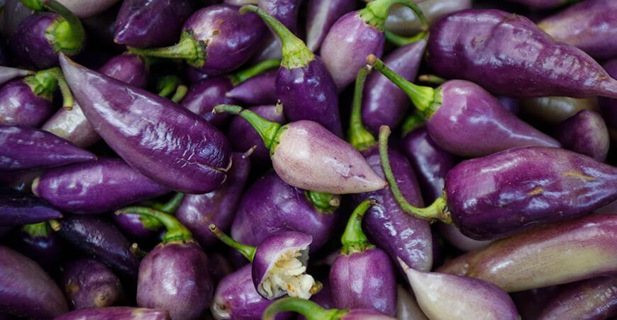 Logran obtener y caracterizar el genoma del ají nativo "arnaucho"