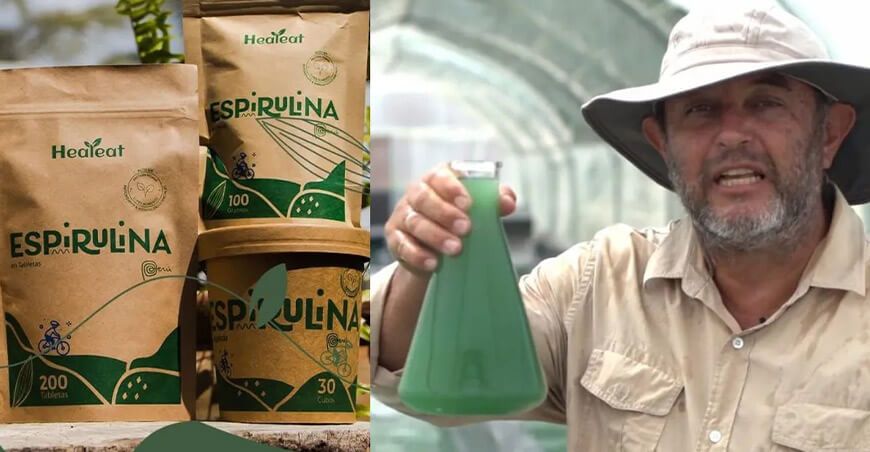 gomitas de espirulina
