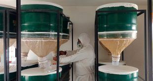 hongos entomopatógenos y antagonistas cultivos a productores de Arequipa