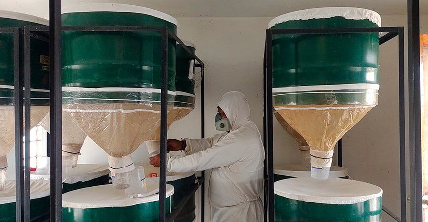hongos entomopatógenos y antagonistas cultivos a productores de Arequipa