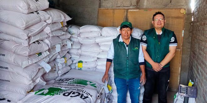 Entregarán 5225 kilos de semillas de alfalfa a productores en Condesuyos en Arequipa Perú
