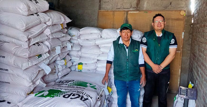 Entregarán 5225 kilos de semillas de alfalfa a productores en Condesuyos en Arequipa Perú
