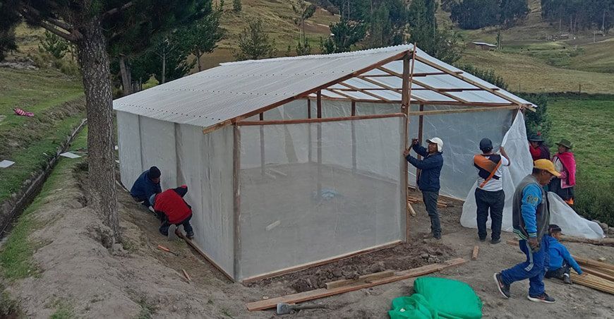 Construyen módulos de producción de semillas de papa prebásica GORE Huancavelica