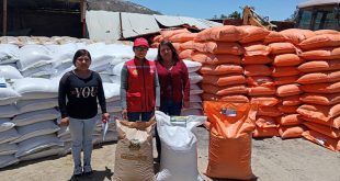 Entregan alimento balanceado para mejorar producción ganadera en Sánchez Cerro
