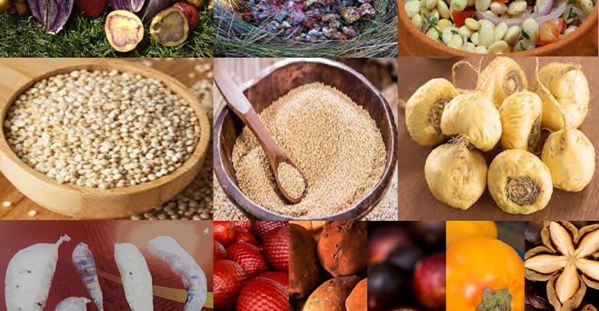 super alimentos Perú