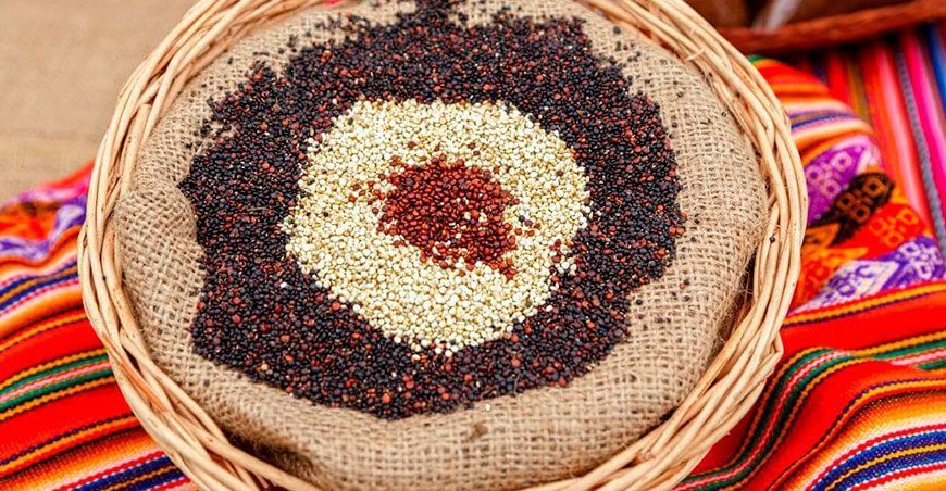 valor nutricional de los granos andinos