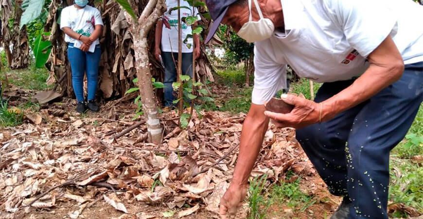 abono fertilizantes