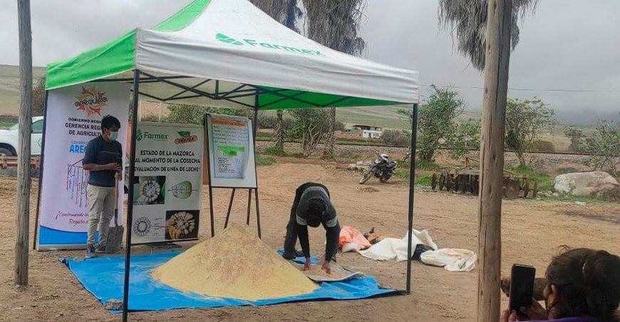 Agro Rural invertirá más de S/ 9 millones en capacitar a productores de la agricultura familiar