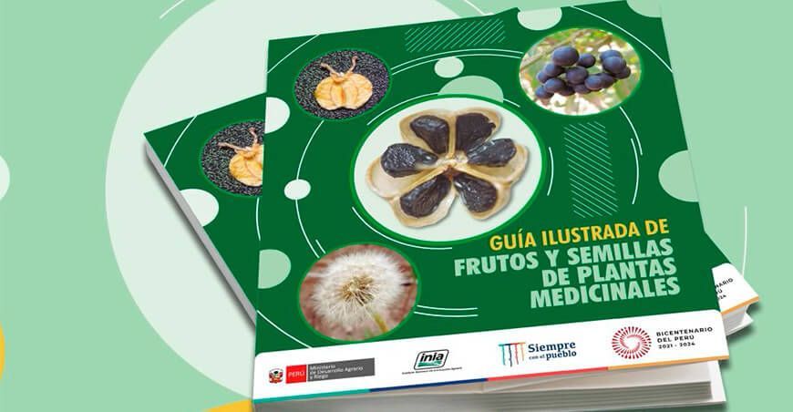 Guía ilustrada de frutos y semillas de plantas medicinales