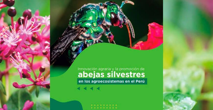 Guía Innovación agraria y la promoción de abejas silvestres en los agroecosistemas en el Perú INIA