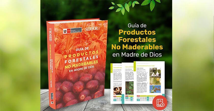 Guía de productos forestales no maderables en Madre de Dios
