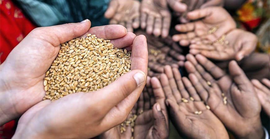 hambre inseguridad alimentaria