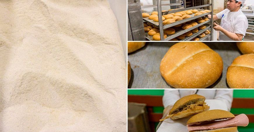 Desarrollan prototipo de harina de alcachofa, espárrago, palta y papa para elaborar pan