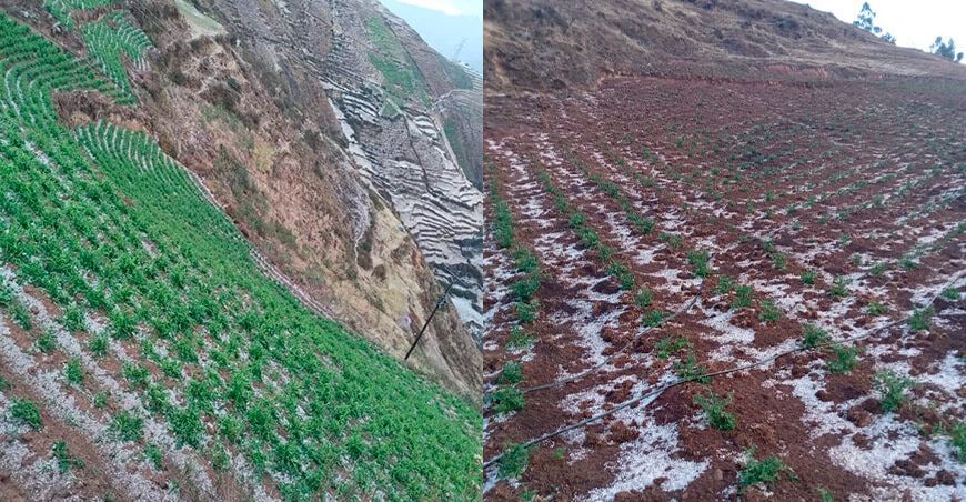 heladas y nieve dañan cultivos en Huánuco Perú