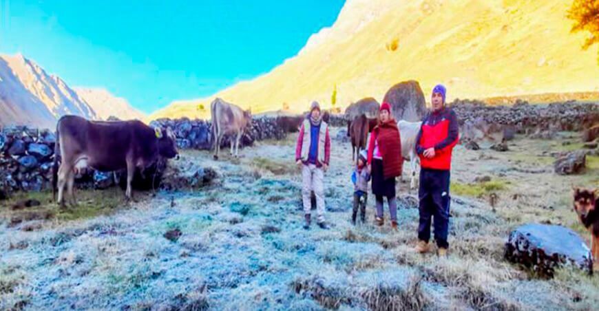 Evalúan daños de cultivos de pastos afectados por las heladas