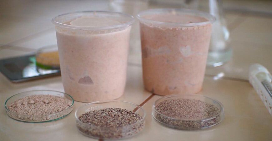 Helado de quinua con probióticos