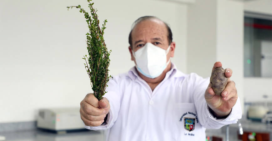  Investigadores de la UNALM usan inca muña y tara para elaborar papas fritas saludables