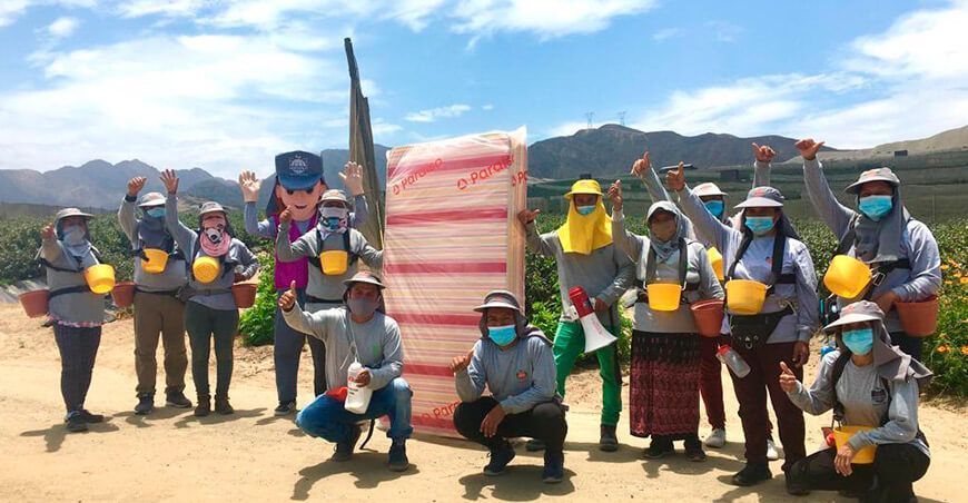 Cerca de 800 trabajadores se beneficiaron con el programa Cientos de Premios de Hortifrut